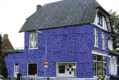 The Blue Gallery